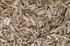 biomass boilers Strichen